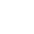 司
